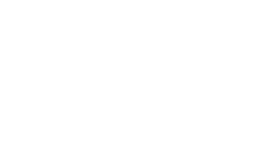 Briggs and Stratton