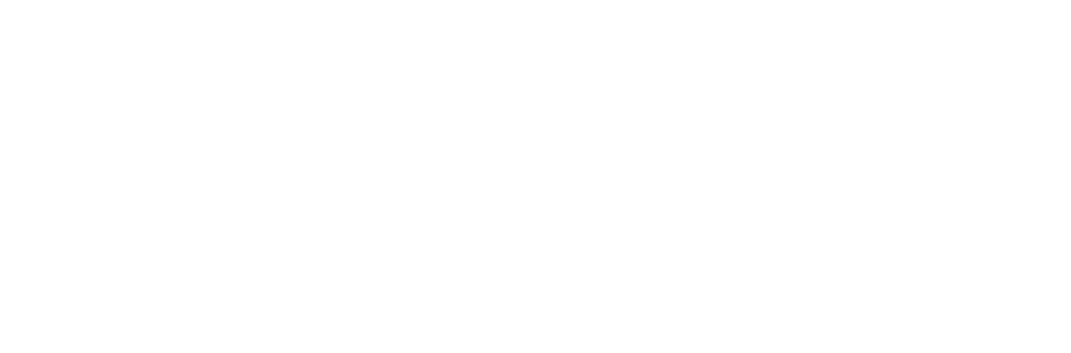 Lincoln Electric Logo - White